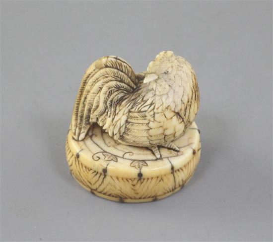 A Japanese ivory netsuke of a cockerel seated on an oval box, 19th century, 4.3cm high